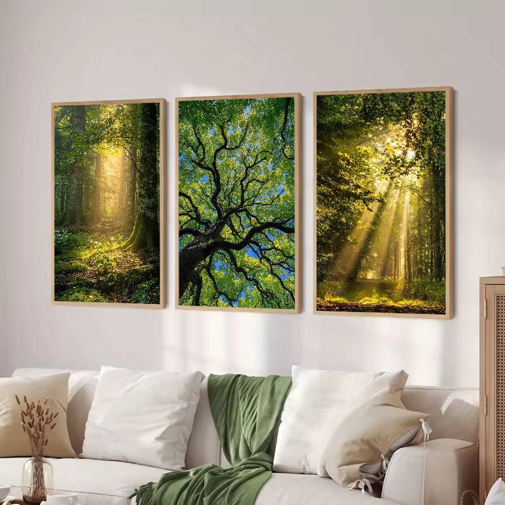 โปสเตอร์ธรรมชาติป่าซันบีม, ภาพ - Wall Decor Lighting Tree บทวิจารณ์และราคา