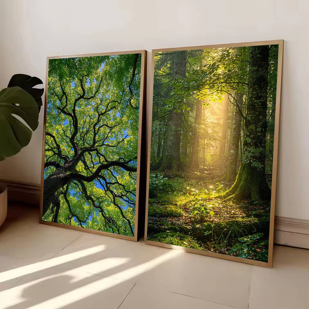 โปสเตอร์ธรรมชาติป่าซันบีม, ภาพ - Wall Decor Lighting Tree บทวิจารณ์และราคา